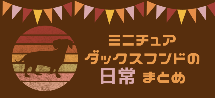 ミニチュアダックスフンドの日常　まとめ